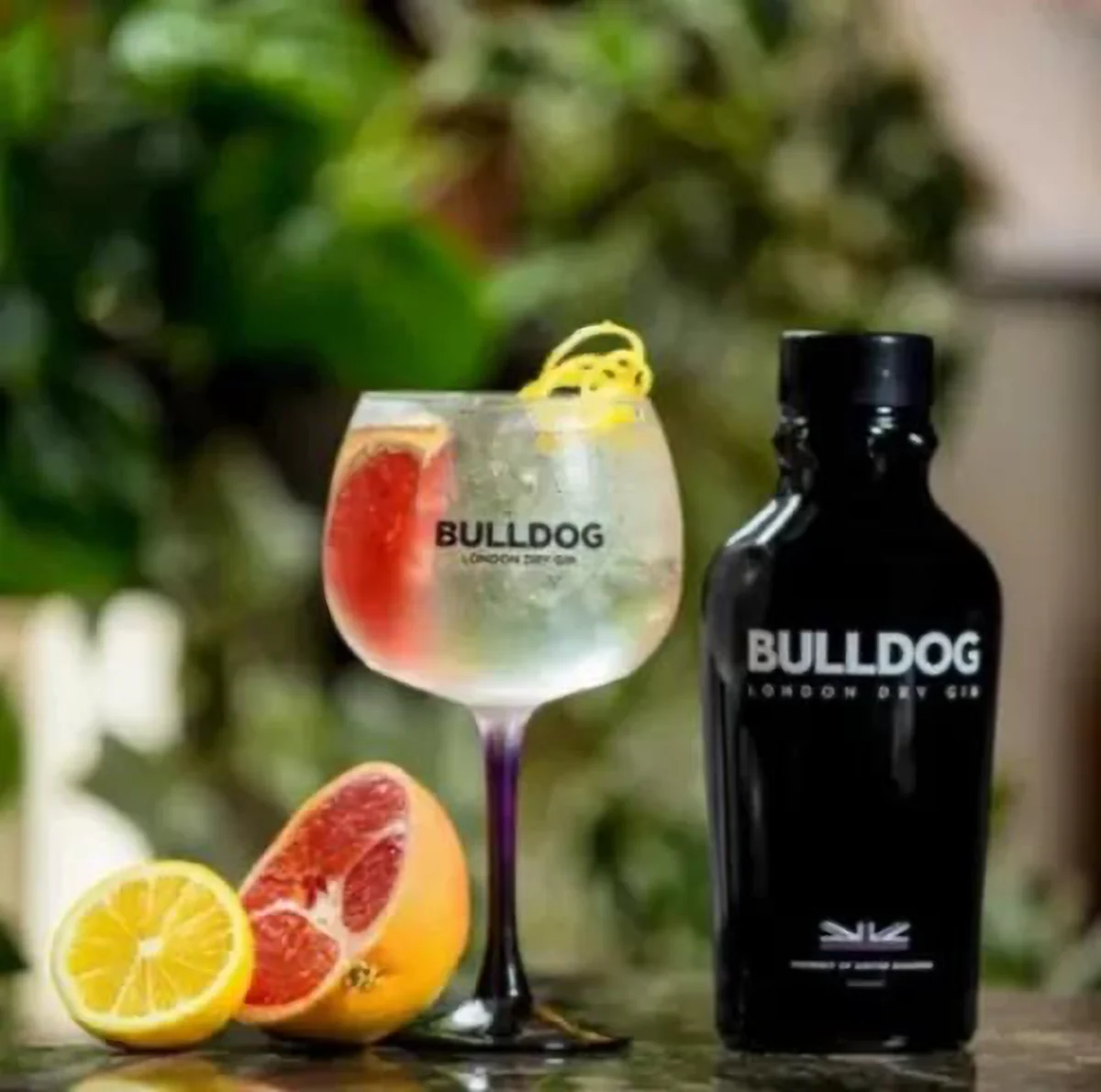 Gin tônica Bulldog em taça com toranja, ao lado da garrafa de Bulldog